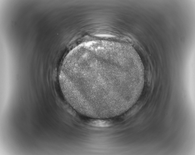 X0000084580326200703161745