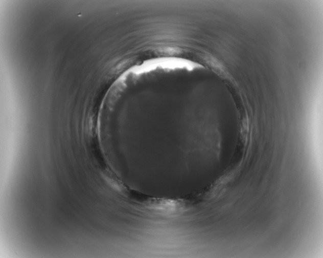 X0000084580330200703161745