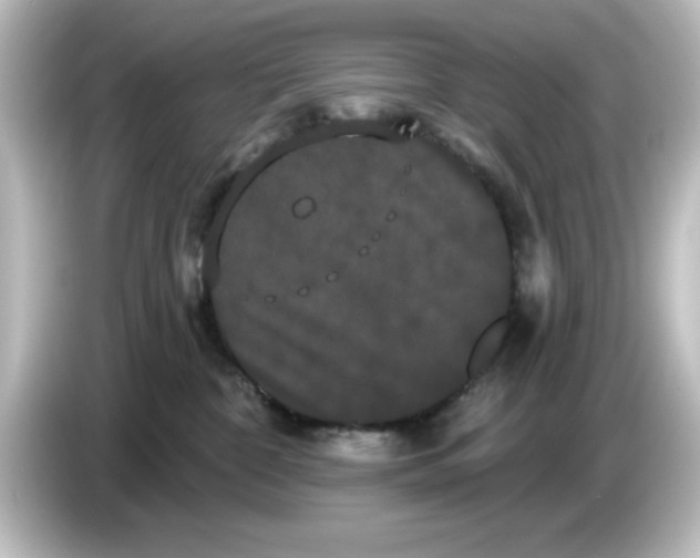 X0000084580332200703161745