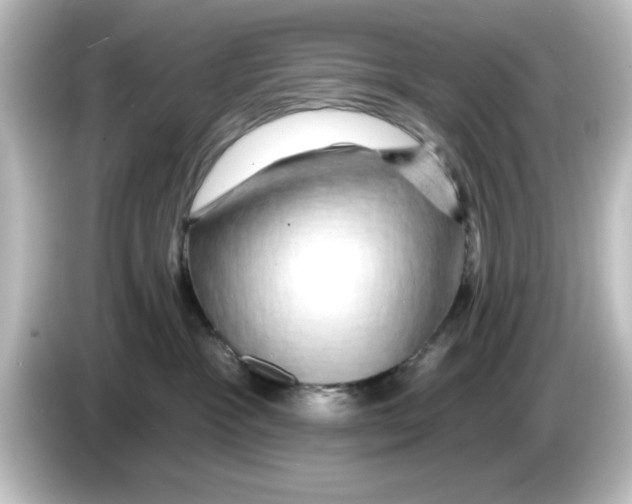X0000084580333200703161745