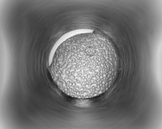 X0000084580334200703161745
