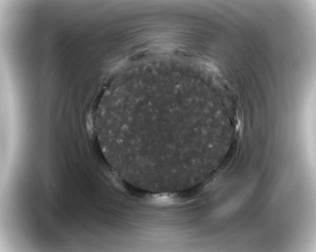 X0000084580335200703161745