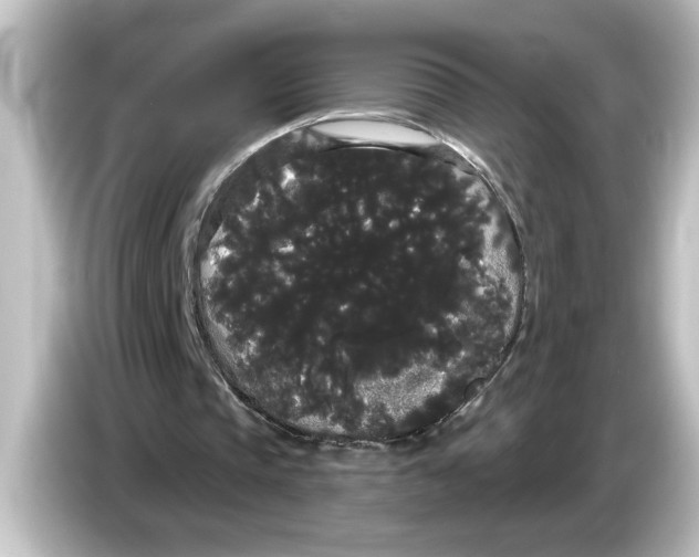 X0000084580337200703161745