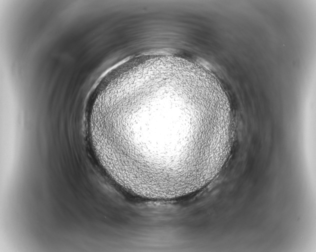 X0000084580338200703161745