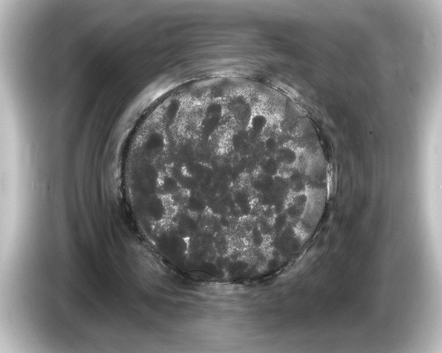 X0000084580339200703161745