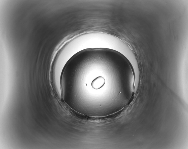 X0000084580340200703161745