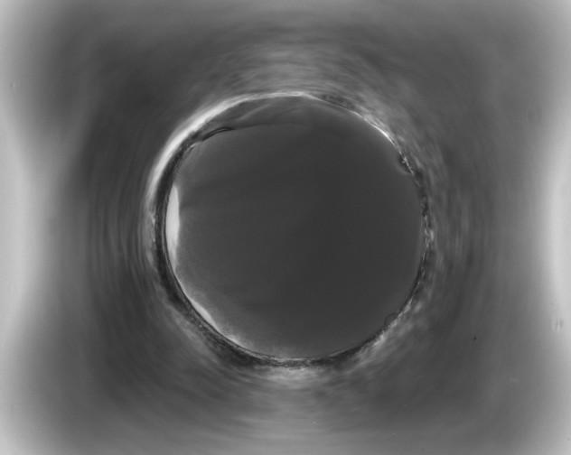 X0000084580342200703161745