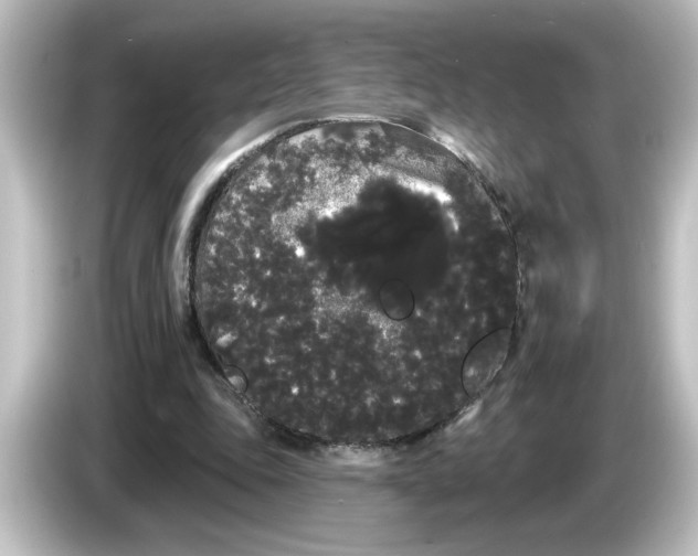 X0000084580343200703161745