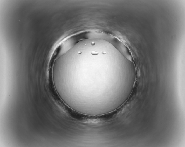 X0000084580344200703161745