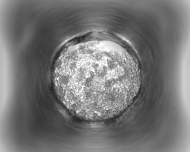 X0000084580345200703161745