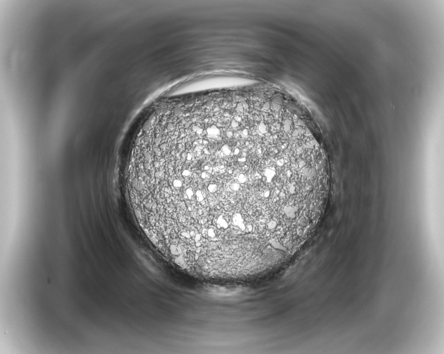 X0000084580346200703161745
