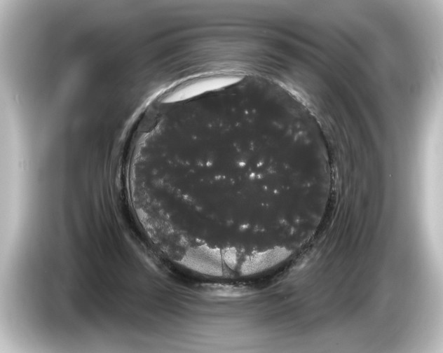 X0000084580347200703161745