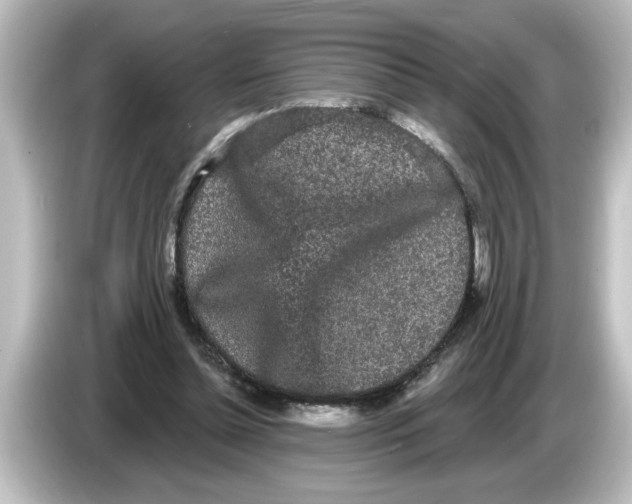 X0000084580348200703161745