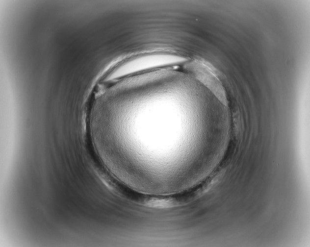 X0000084580350200703161745