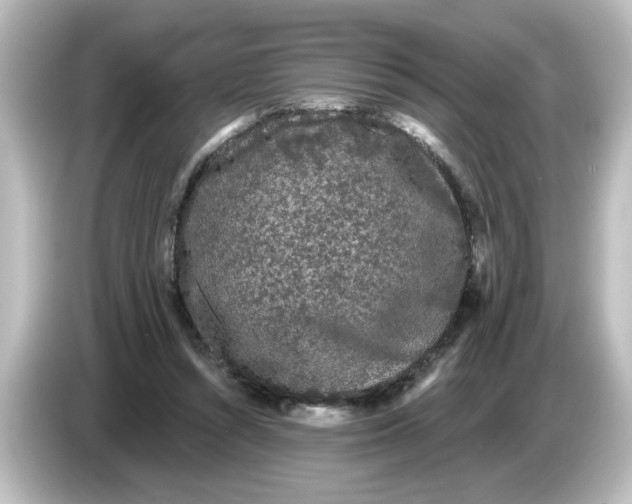 X0000084580352200703161745