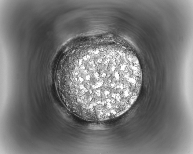 X0000084580354200703161745