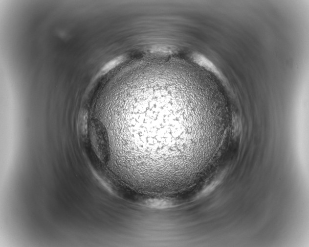 X0000084580356200703161745