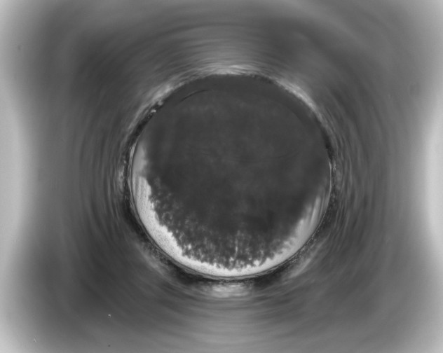 X0000084580357200703161745