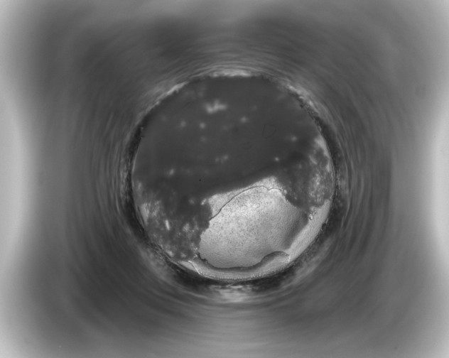 X0000084580359200703161745