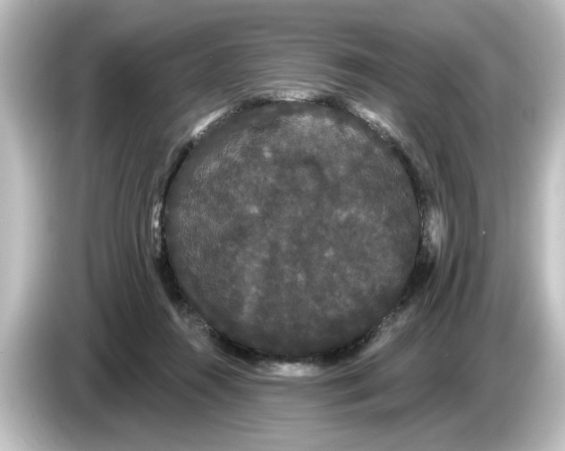 X0000084580360200703161745