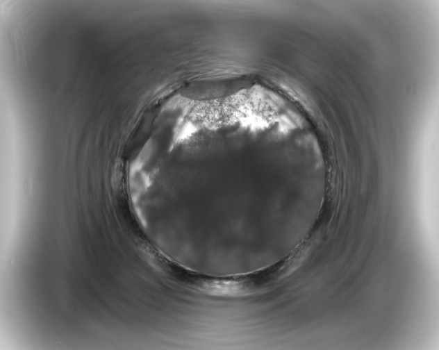 X0000084580361200703161745