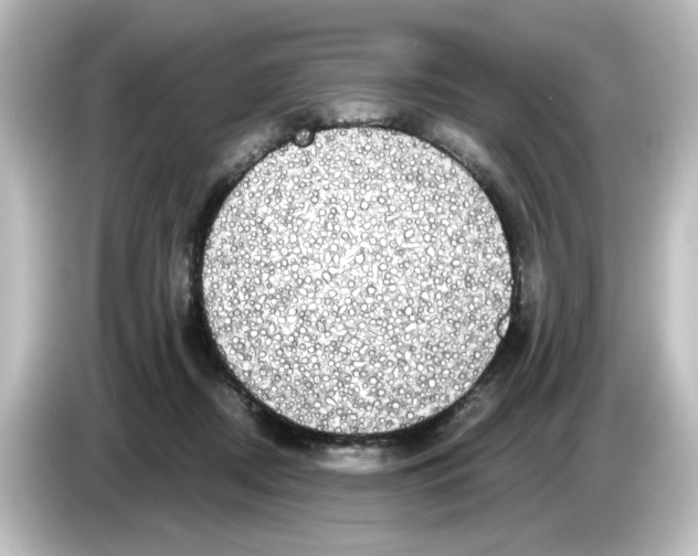 X0000084580362200703161745