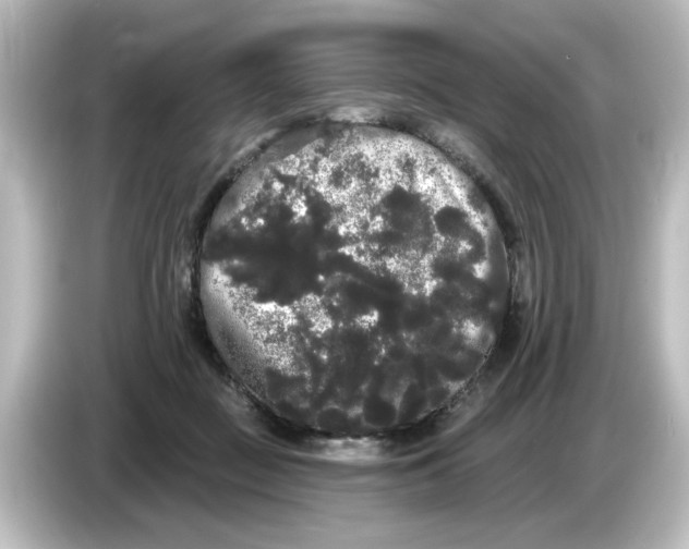 X0000084580363200703161745