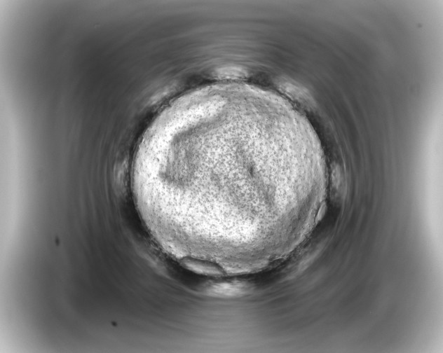 X0000084580364200703161745