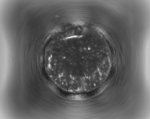 X0000084580365200703161745