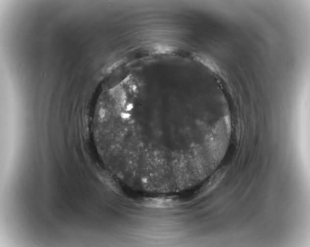 X0000084580366200703161745