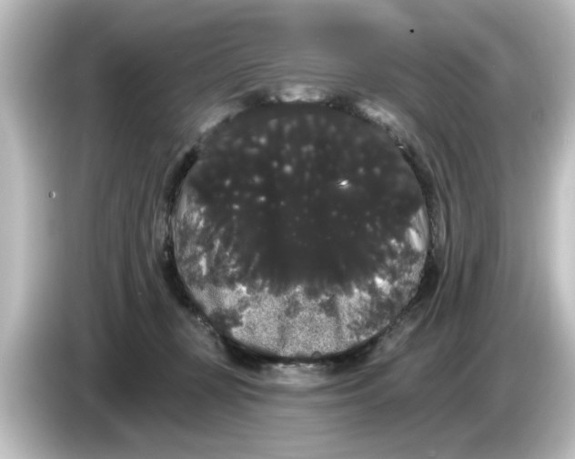 X0000084580367200703161745