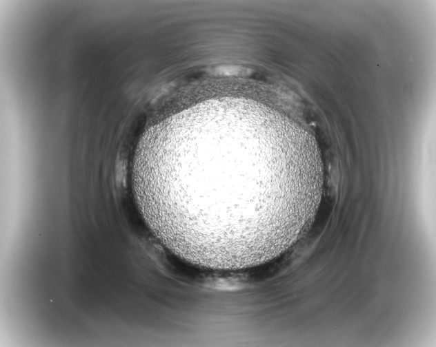 X0000084580368200703161745