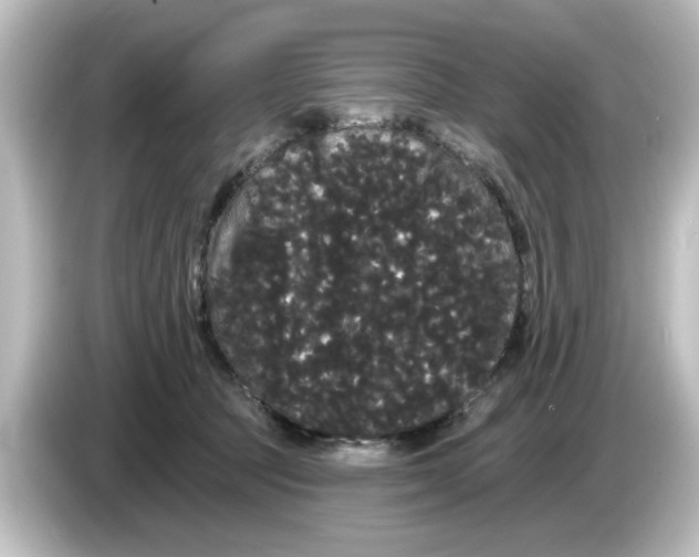 X0000084580369200703161745