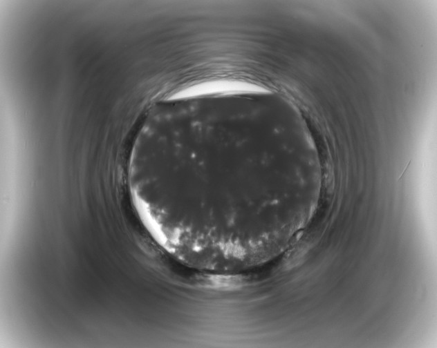X0000084580371200703161745