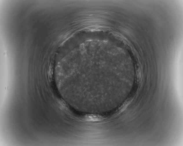X0000084580372200703161745