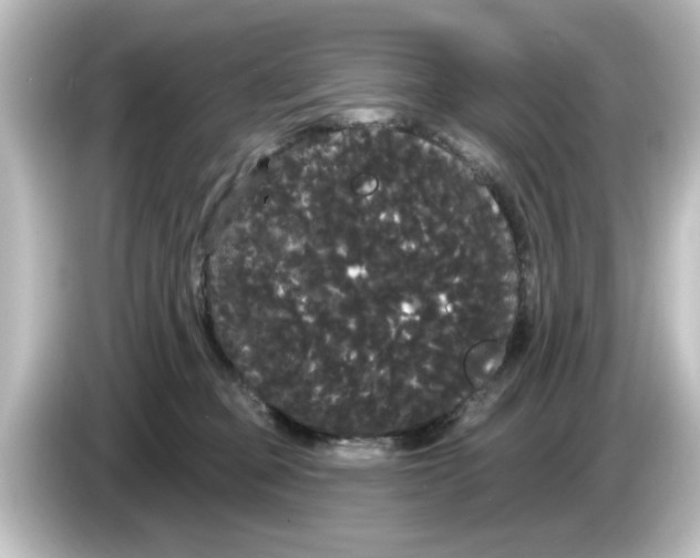 X0000084580373200703161745