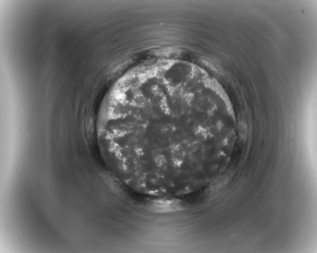 X0000084580375200703161745