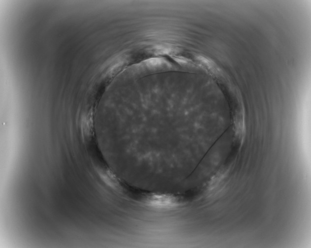 X0000084580376200703161745