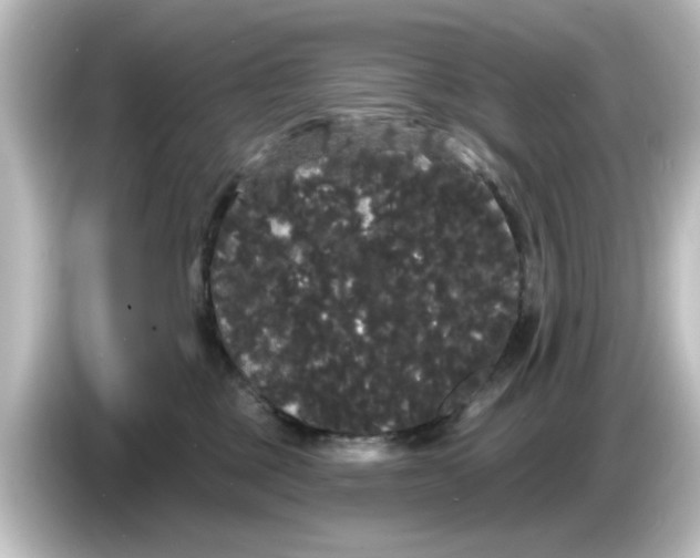 X0000084580377200703161745