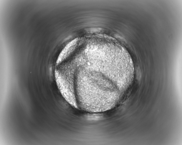 X0000084580378200703161745