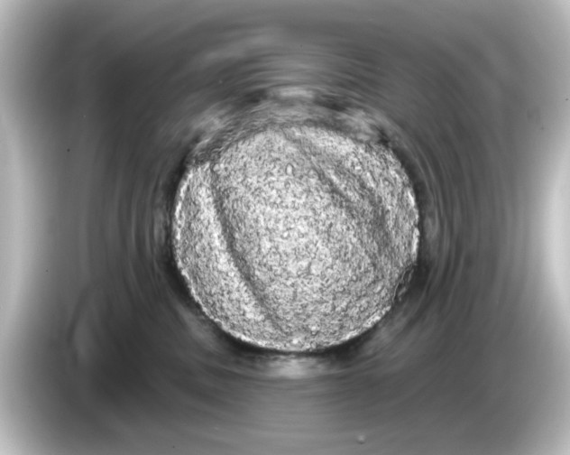X0000084580379200703161745