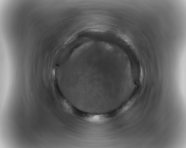 X0000084580382200703161745