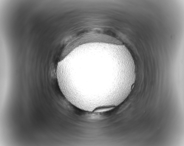 X0000084580384200703161745