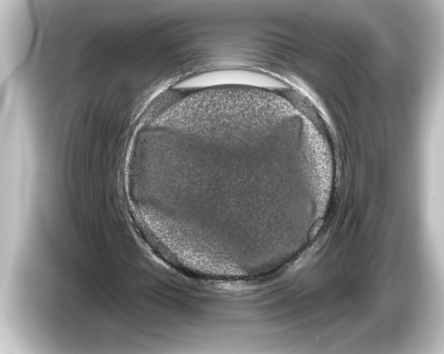 X0000084580385200703161745
