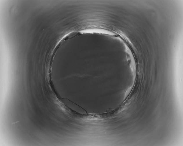 X0000084580386200703161745