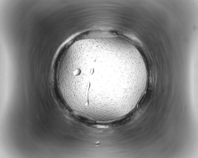 X0000084580388200703161744