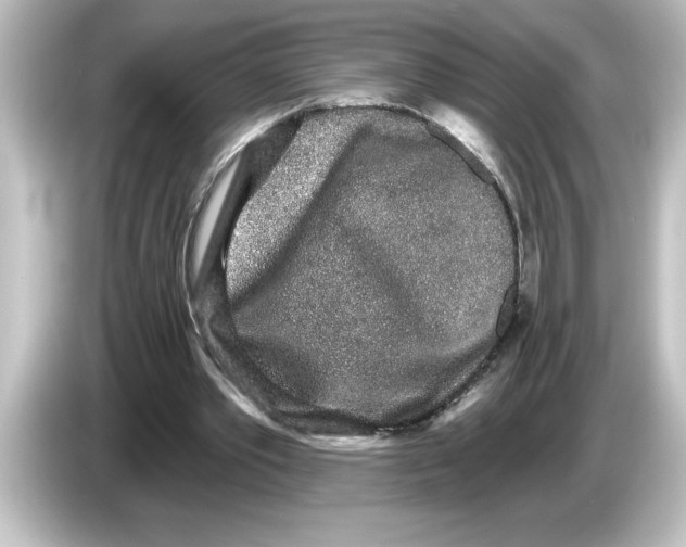 X0000084580389200703161744