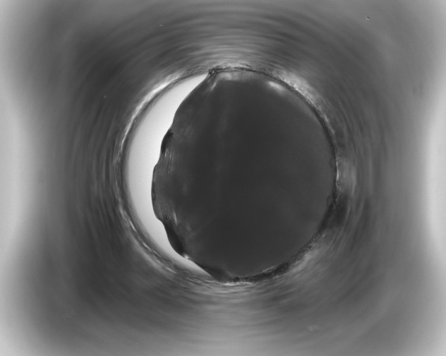 X0000084580390200703161744