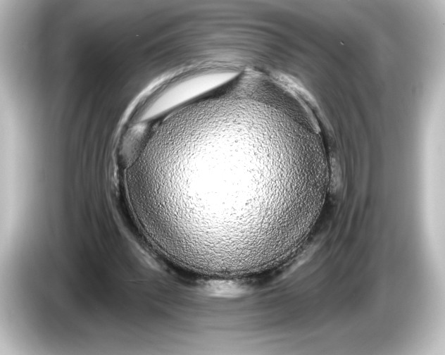 X0000084580392200703161744