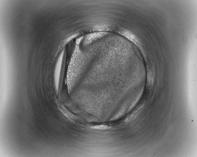X0000084580393200703161744